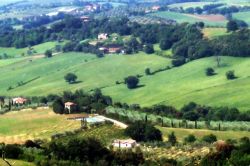 Agriturismo Casa Olivo