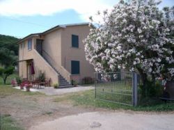 Casa Vacanze il Podere il Pino