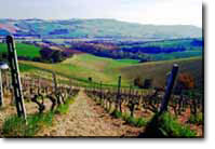 Agriturismo M.E.S. -Modulo Ecologico Sperimentale-