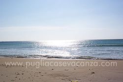 Www.pugliacasevacanza.com