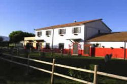 Agriturismo Hornos Maneggio Ristorante