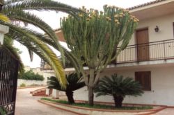 Villa al mare Fontane Bianche